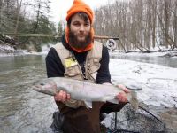 Steelhead 