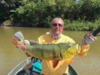 Foto de pesca con mosca