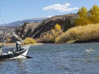 Fly fishing picture