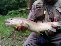 Foto de pesca con mosca