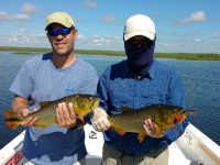 Foto de pesca con mosca