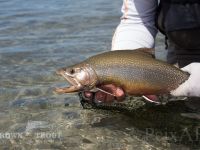 Foto de pesca con mosca