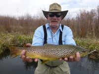 Fly fishing picture