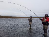 Foto de pesca con mosca