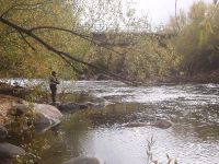 Fly fishing picture