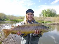 Fly fishing picture