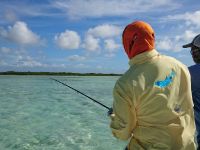 Fly fishing picture