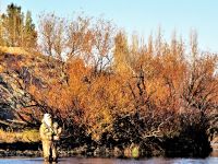 Foto de pesca con mosca