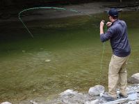 Fly fishing picture