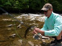 Fly fishing picture