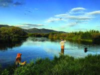 Fly fishing picture