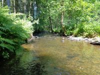 Little stream Martin Moulin