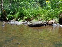 Little stream Martin Moulin