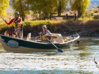 Fly fishing picture