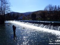 Ansel Orr - Fly Fishing - Krka - Urko Fishing Adventures - Slovenia