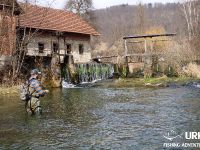 Ansel Orr - Fly Fishing - Krka - Urko Fishing Adventures - Slovenia