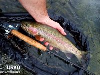 Ansel Orr - Fly Fishing - Krka - Urko Fishing Adventures - Slovenia