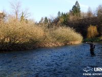 Ansel Orr - Fly Fishing - Krka - Urko Fishing Adventures - Slovenia