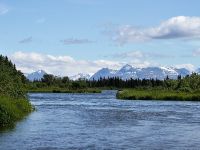 Fly fishing picture