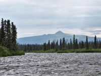 Fly fishing picture