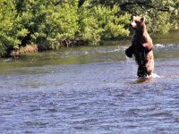 Fly fishing picture