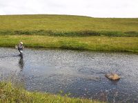 Fly fishing picture