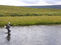 Fly fishing picture