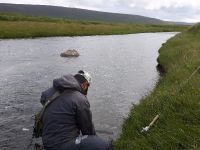 Fly fishing picture