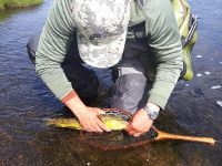 Fly fishing picture