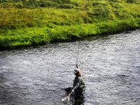 Fly fishing picture