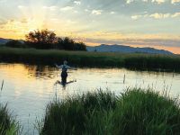 Fly fishing picture