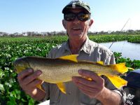 Fly fishing picture