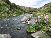 Fly fishing picture