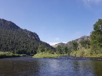 Fly fishing picture