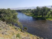 Fly fishing picture