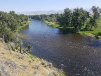 Fly fishing picture