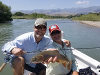 Fly fishing picture