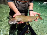 Fly Fishing - Koritnica - Urko Fishing Adventures - Slovenia