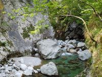 Fly Fishing - Učja - Urko Fishing Adventures - Slovenia