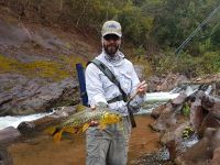 Foto de pesca con mosca