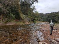 Foto de pesca con mosca