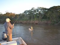 Fly fishing picture