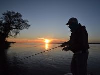 Fly fishing picture