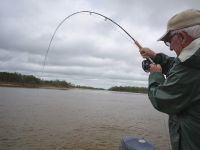 Fly fishing picture