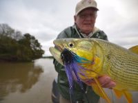 Fly fishing picture