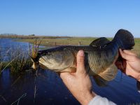 final de la pesca realizada todo a flote