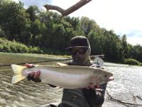 My first NY Steelhead