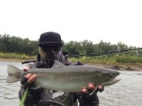 Steelhead 