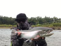 Steelhead