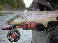 Fly fishing picture